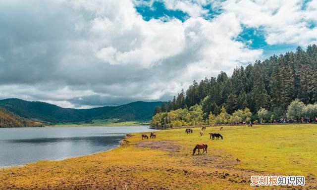 云南石林大理洱海2日游多少钱 昆明石林大理洱海旅游攻略