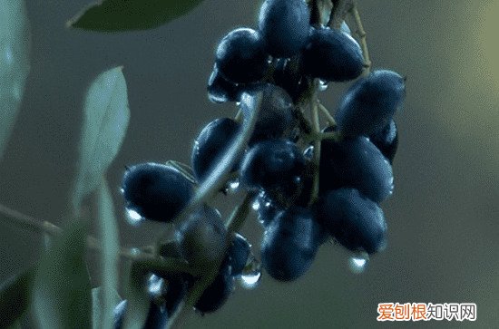 50句 关于雨的诗句