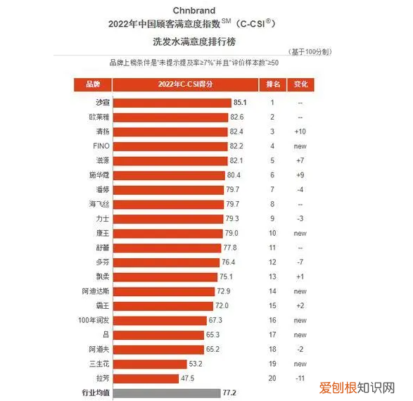 霸王洗发水好用吗效果怎么样