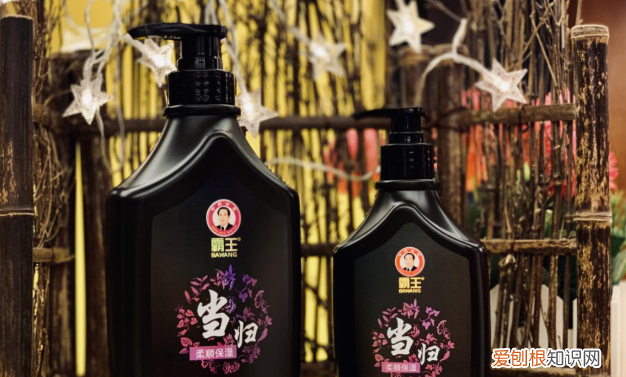 霸王洗发水好用吗效果怎么样