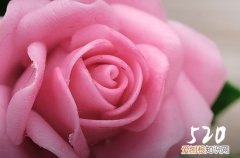 520对女朋友说的暖心的话 520给女朋友的最暖心的情话