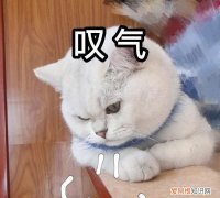 终于等来了!微信重大更新的说说