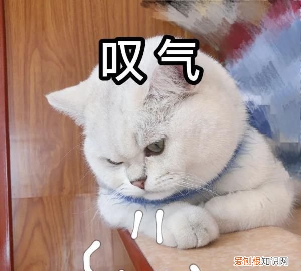 终于等来了!微信重大更新的说说