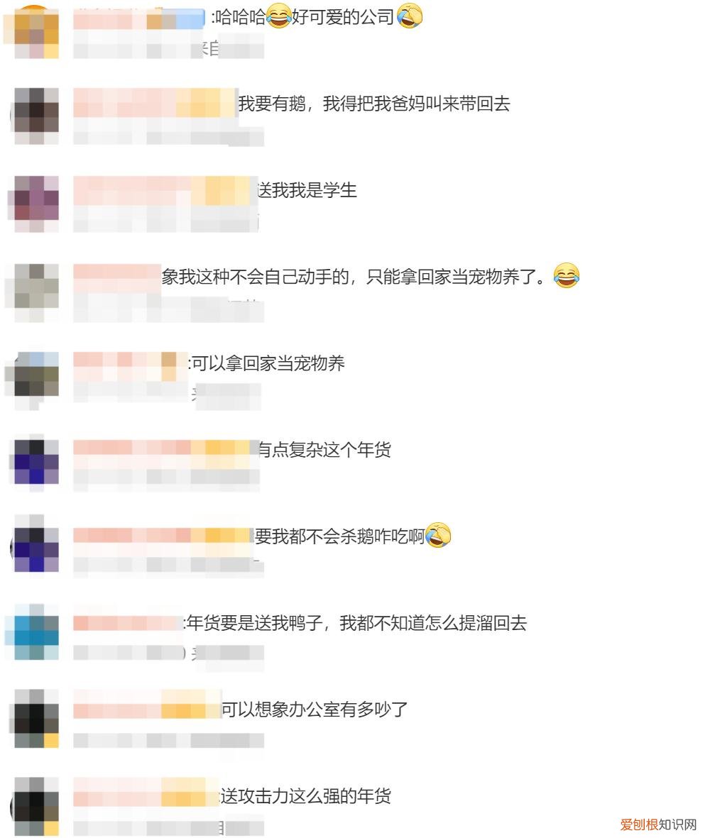公司给每个员工发大鹅当年货，员工：大家都很开心，但20多只饿放在公司真的很吵吵