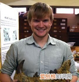 世界上最大的肉食哺乳动物北极熊