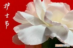 100句 关于护士节祝福语大全