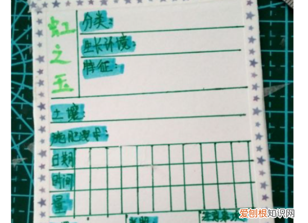 植物观察记录卡怎么做，三年级下册我的植物朋友 牵牛花