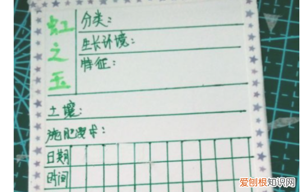 植物观察记录卡怎么做，三年级下册我的植物朋友 牵牛花