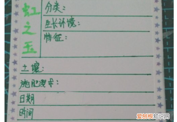 植物观察记录卡怎么做，三年级下册我的植物朋友 牵牛花