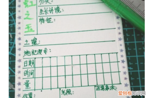 植物观察记录卡怎么做，三年级下册我的植物朋友 牵牛花