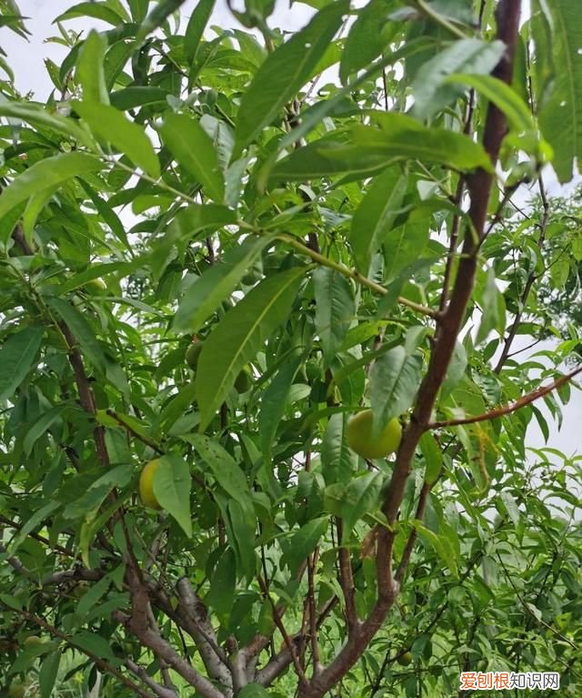 夏日时光,周末踏青英文