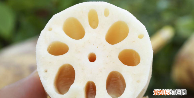 藕片焯水放了白醋怎么藕变黑了,藕片焯水怎么才能不发黑