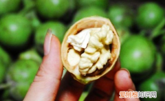 新鲜核桃仁去皮的吃多了有坏处吗 鲜核桃仁的皮怎么快速去掉