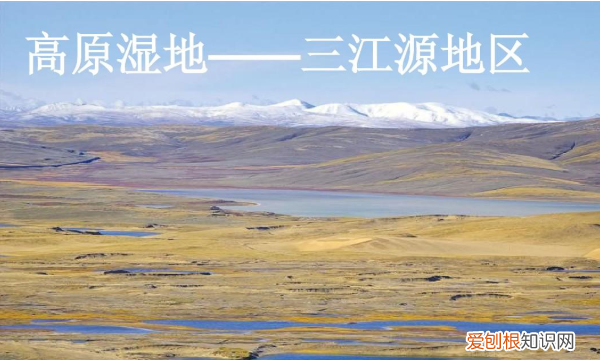 三江源中的三江指的是什么,三江源指的是哪三江澜沧江