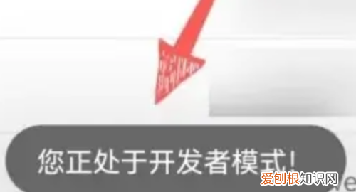 如何成为华为开发者,华为开发者模式怎么关闭