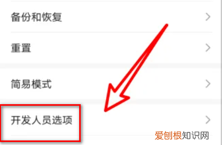 如何成为华为开发者,华为开发者模式怎么关闭