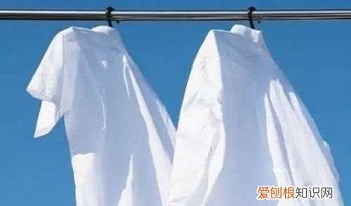 白色的衣服怎么洗，白色衣服用什么洗可以洗白神器