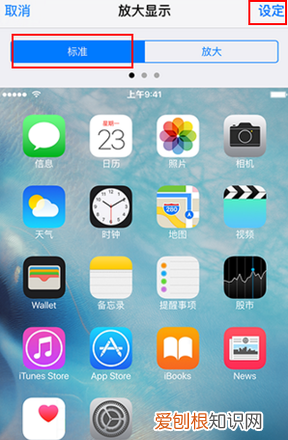 苹果手机分辨率在哪看,苹果手机分屏显示怎么设置