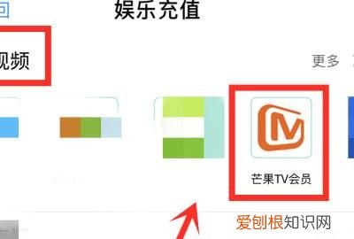 怎么登录芒果会员,电视芒果tv会员怎么登录