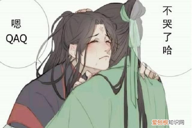 墨香铜臭评价洛冰河,洛冰河花城谢怜墨香铜臭三部曲