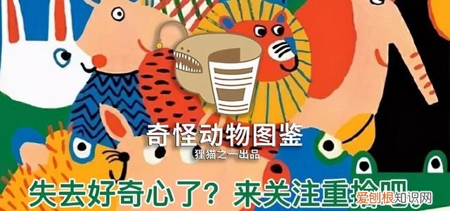 为什么不能把蜘蛛杀死 为什么不能在家里打蜘蛛