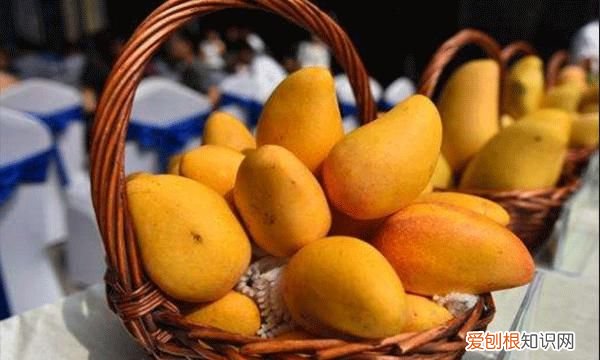 芒果熟了可以放冰箱保存吗,芒果切了放冰箱能保存多长时间