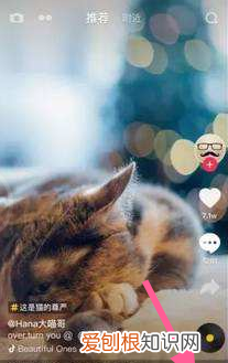 抖音怎么换另一个号登录，抖音怎么切换另一个账号