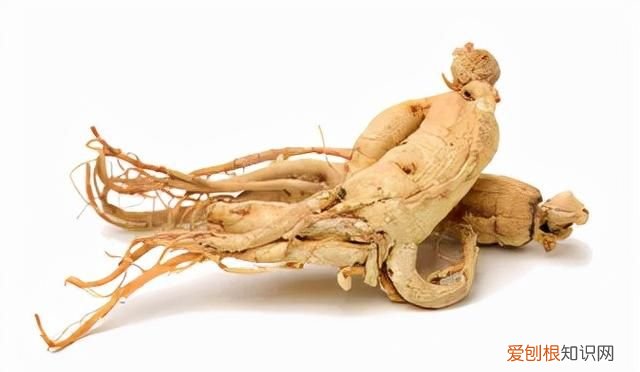 人参病害对照表大全 人参疫病的防治方法