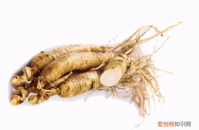 人参病害对照表大全 人参疫病的防治方法