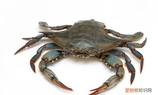 鱼虾蟹贝类和畜禽类相比什么含量更加丰富