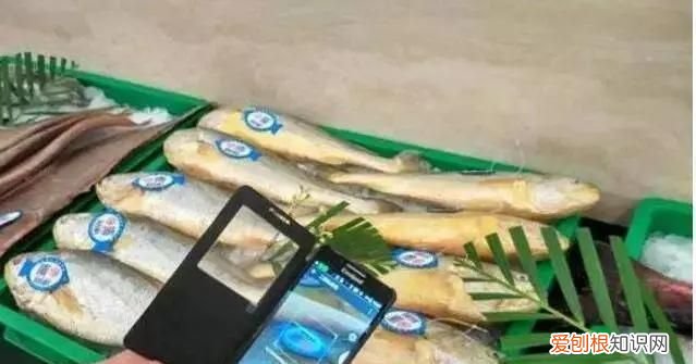 鱼虾蟹贝类和畜禽类相比什么含量更加丰富