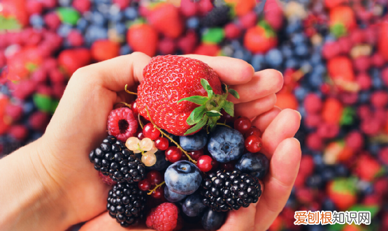 碱性食物之王中老年多吃,50岁以后多吃3种碱性食物