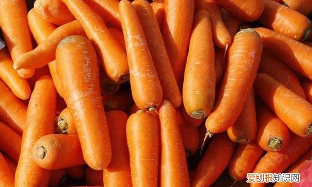 怎样挑选胡萝卜最好 胡萝卜选购方法