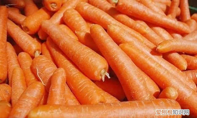 怎样挑选胡萝卜最好 胡萝卜选购方法