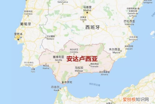 检测10款橄榄油你可能真的误解