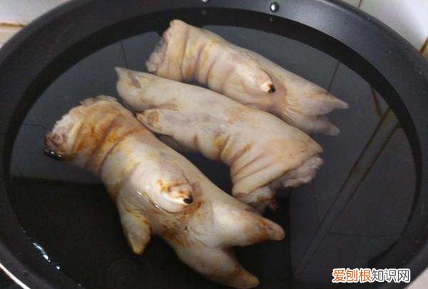 炖猪蹄又烂又好吃做法