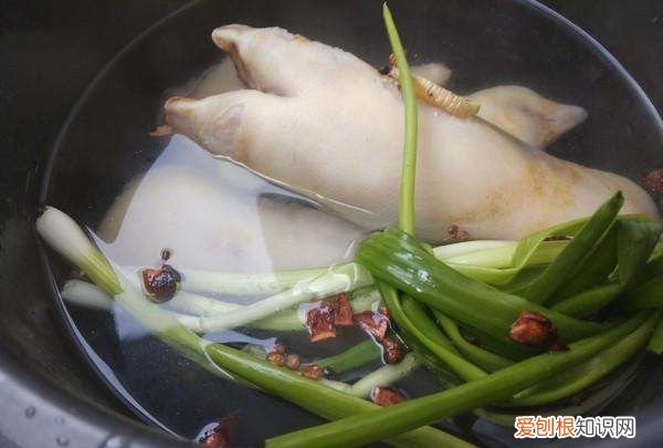 炖猪蹄又烂又好吃做法