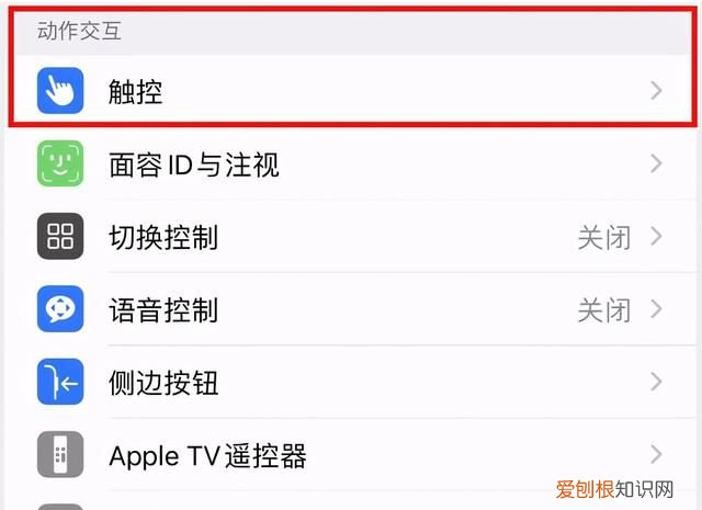 如何设置苹果手机的悬浮窗