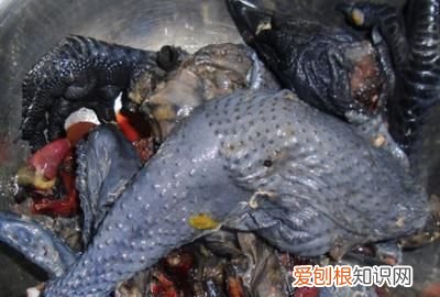 怎样炖乌鸡汤好喝又营养，怎样自制补血益气乌鸡汤