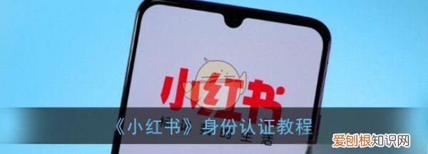 小红书怎么进行身份认证,小红书怎么实名认证绑定手机