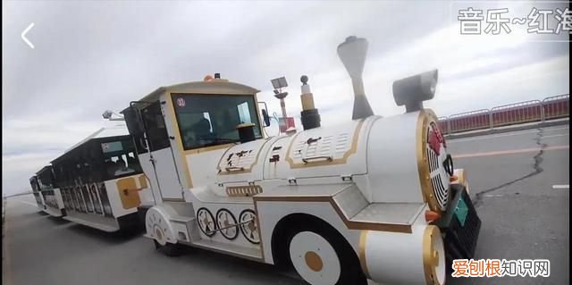 国庆节盘锦红海滩怎么样,世界奇观盘锦红海滩