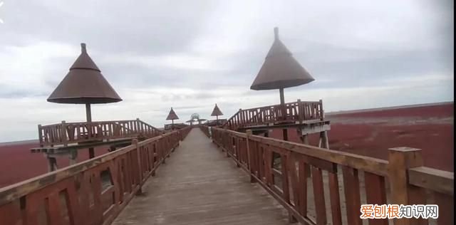 国庆节盘锦红海滩怎么样,世界奇观盘锦红海滩
