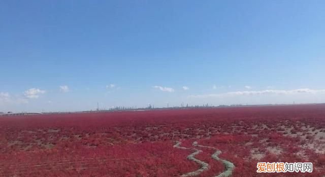 国庆节盘锦红海滩怎么样,世界奇观盘锦红海滩