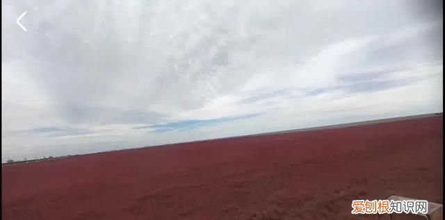国庆节盘锦红海滩怎么样,世界奇观盘锦红海滩