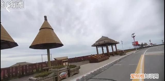 国庆节盘锦红海滩怎么样,世界奇观盘锦红海滩