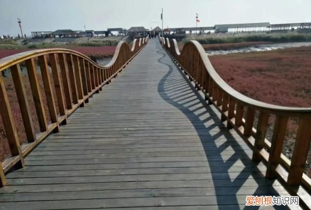 国庆节盘锦红海滩怎么样,世界奇观盘锦红海滩