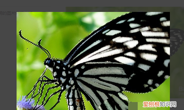 PS咋地才可以导出GIF格式的动图