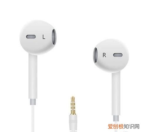 半入耳和全入耳的区别,全入耳和半入耳的区别