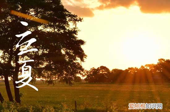 立夏吃什么水果好 立夏后养生可以选择这几种水果