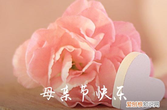 母亲节是什么时候2023 2023母亲节是几月几号